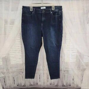 Lane Bryant Skinny Jeans